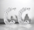 EARRINGS, STAINLESS STEEL
 88087-0
